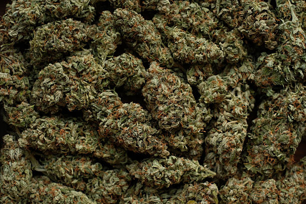 susena marihuana